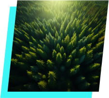 Sustainability and climate